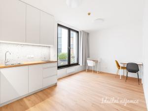 Pronájem bytu 2+kk, Praha - Břevnov, Na Větrníku, 38 m2