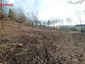 Prodej pozemku pro bydlení, Votice, Fibichova, 8870 m2