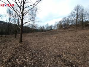 Prodej pozemku pro bydlení, Votice, Fibichova, 8870 m2