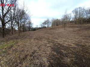 Prodej pozemku pro bydlení, Votice, Fibichova, 8870 m2