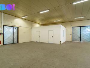 Pronájem skladu, Karviná - Fryštát, Lešetínská, 603 m2