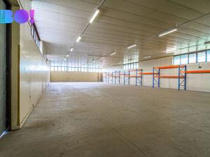 Pronájem skladu, Karviná - Fryštát, Lešetínská, 603 m2