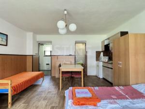 Prodej komerční nemovitosti, Stará Ves, Potočná, 250 m2