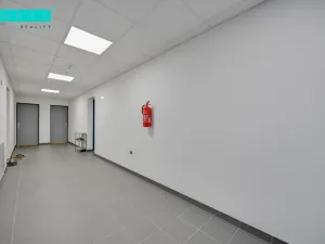 Pronájem bytu 2+kk, Olomouc - Nové Sady, Věry Pánkové, 63 m2