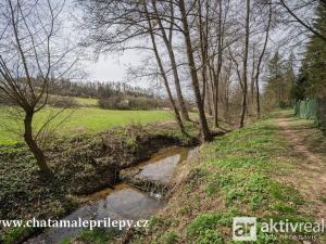 Prodej chaty, Chyňava - Malé Přílepy, 40 m2