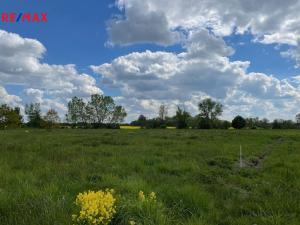 Prodej zemědělské půdy, Olomouc, 4547 m2