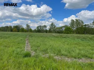 Prodej zemědělské půdy, Olomouc, 4547 m2