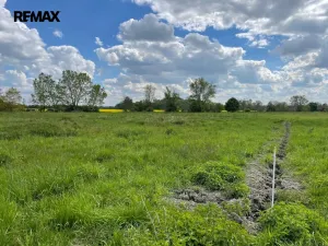 Prodej zemědělské půdy, Olomouc, 4547 m2