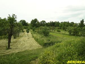 Prodej zahrady, Rousínov, Trnečkova, 940 m2