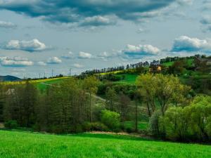 Prodej pozemku pro bydlení, Trubská, 959 m2