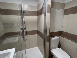 Pronájem bytu 1+kk, Pardubice - Polabiny, Lidická, 34 m2