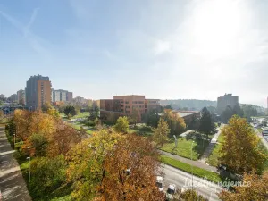 Pronájem bytu 1+1, Praha - Troja, Mazurská, 50 m2