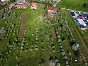 Prodej pozemku pro bydlení, Mistřice - Javorovec, 1000 m2