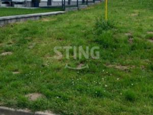 Prodej pozemku pro bydlení, Stěbořice - Nový Dvůr, 524 m2