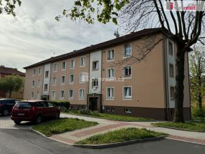 Prodej obchodního prostoru, Ostrov, Borecká, 22 m2