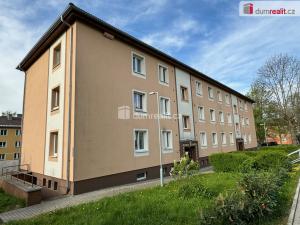 Prodej obchodního prostoru, Ostrov, Borecká, 22 m2