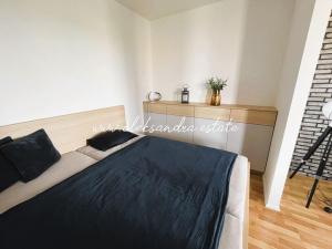 Pronájem bytu 1+kk, Praha - Strašnice, Zvěřinova, 48 m2