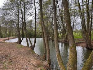 Prodej zemědělského objektu, Jivina, 895 m2