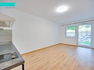 Pronájem bytu 1+kk, Olomouc - Neředín, Frištenského, 32 m2