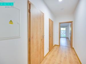 Pronájem bytu 1+kk, Olomouc - Neředín, Frištenského, 32 m2