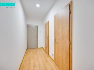 Pronájem bytu 1+kk, Olomouc - Neředín, Frištenského, 32 m2