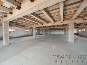 Prodej obchodního prostoru, Nová Ves, 3671 m2