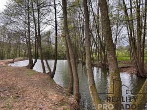 Prodej zemědělské usedlosti, Jivina, 895 m2