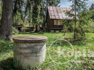 Prodej chaty, Černošín - Lažany, 50 m2