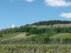 Prodej zahrady, Mikulov, 1471 m2