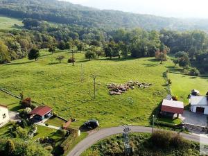 Prodej pozemku pro bydlení, Malšovice - Nová Bohyně, 6828 m2