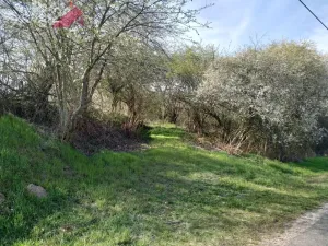 Prodej pozemku pro bydlení, Rožďalovice - Hasina, 6194 m2