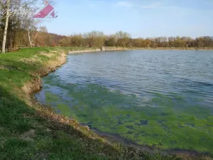 Prodej pozemku pro bydlení, Rožďalovice - Hasina, 6194 m2