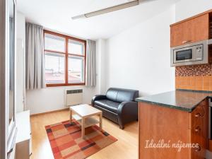 Pronájem bytu 2+kk, Praha - Vinohrady, Lucemburská, 55 m2