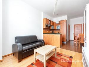 Pronájem bytu 2+kk, Praha - Vinohrady, Lucemburská, 55 m2