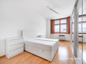 Pronájem bytu 2+kk, Praha - Vinohrady, Lucemburská, 55 m2