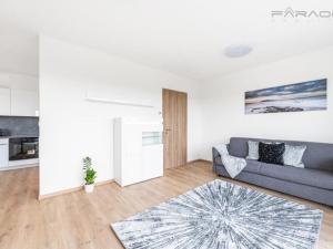 Pronájem bytu 1+kk, Praha - Záběhlice, Klapálkova, 40 m2