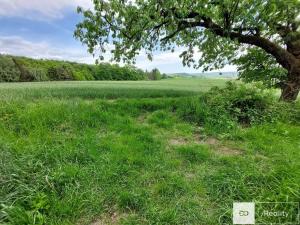 Prodej zemědělské půdy, Bílé Poličany, 14978 m2