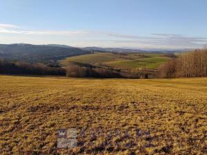 Prodej pozemku pro bydlení, Benešov nad Černou - Kuří, 7089 m2