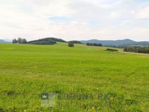 Prodej pozemku pro bydlení, Benešov nad Černou - Kuří, 7089 m2