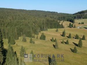 Prodej pozemku pro bydlení, Benešov nad Černou - Kuří, 7089 m2