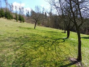 Prodej rodinného domu, Jablonec nad Jizerou, 200 m2