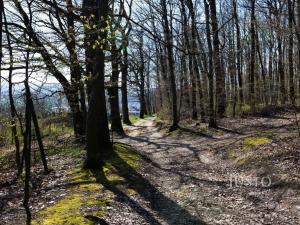 Prodej pozemku pro bydlení, Uherský Brod, 1669 m2