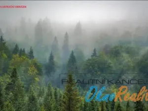 Prodej lesa, Křečkov, 339223 m2