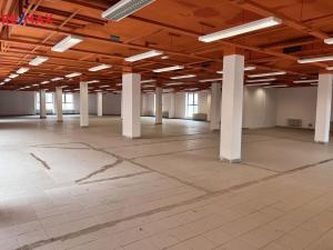 Pronájem obchodního prostoru, Pelhřimov, Solní, 600 m2