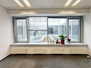 Pronájem kanceláře, Praha - Nové Město, Václavské náměstí, 103 m2