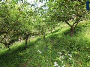 Prodej rodinného domu, Mezouň, 75 m2