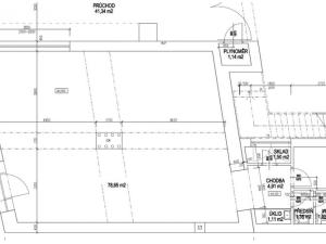 Pronájem obchodního prostoru, Pardubice - Bílé Předměstí, Štrossova, 101 m2