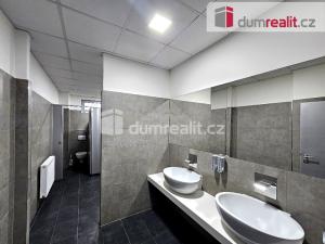 Pronájem obchodního prostoru, Hostivice, Palouky, 4450 m2