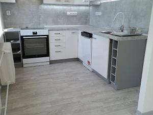 Pronájem bytu 2+kk, Plzeň - Východní Předměstí, Táborská, 55 m2