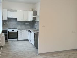 Pronájem bytu 2+kk, Plzeň - Východní Předměstí, Táborská, 55 m2